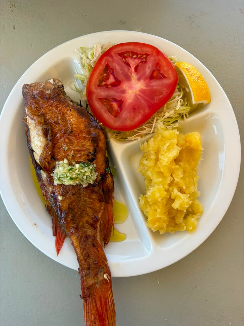 Grilled fish lunch option